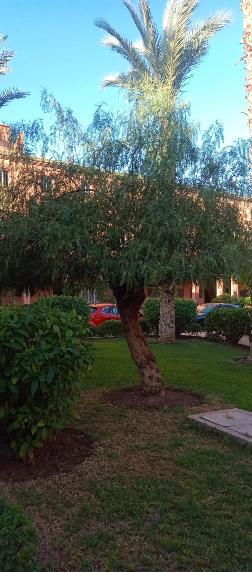 Riad Nour Resorts-Riad Nour Travel Marrakesh Ngoại thất bức ảnh