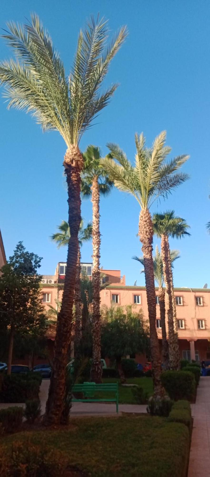 Riad Nour Resorts-Riad Nour Travel Marrakesh Ngoại thất bức ảnh